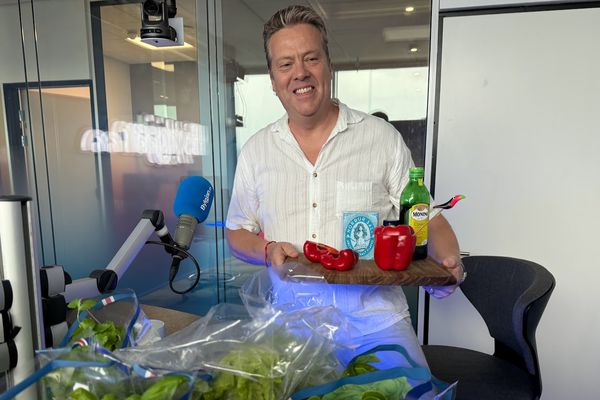 Grænmetisuppskeran fyrr á ferðinni í ár og lofar góðu