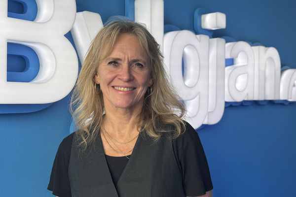 Hvað felst í íslenskri leyniþjónustu?