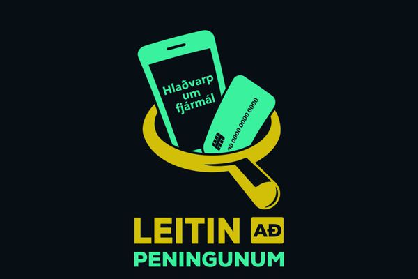 Leitin að peningunum - Stefanía Sigurdís Jóhönnudóttir