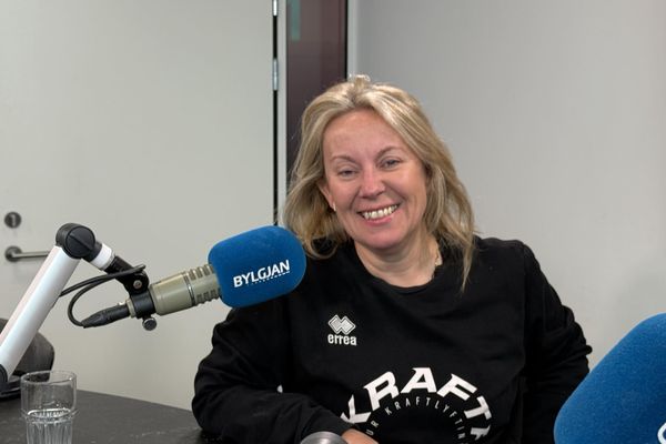 Vandmeðfarið hve miklar upplýsingar lögreglan getur veitt