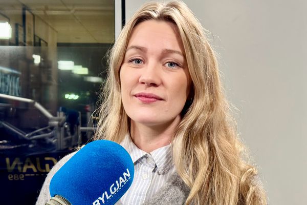 Svín greindari en hundar - geta spilað einfalda tölvuleiki 