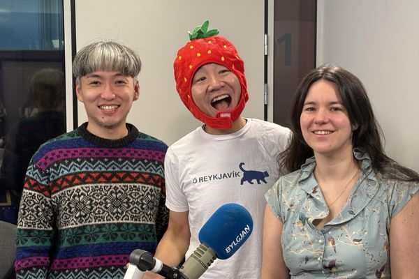 Japönsk jarðarber ræktuð á Íslandi