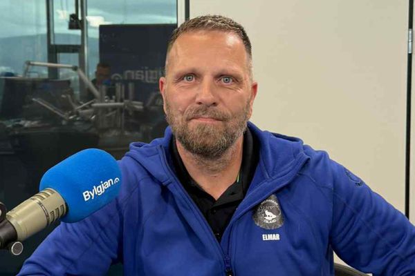 Hundahótel eru sumarbúðir fyrir hundinn