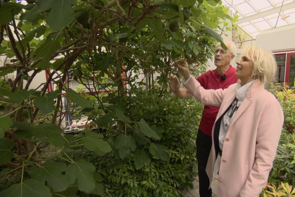 Ísland í dag - Byggði 460 fm glerhýsi yfir húsið sitt í Mosfellsbæ