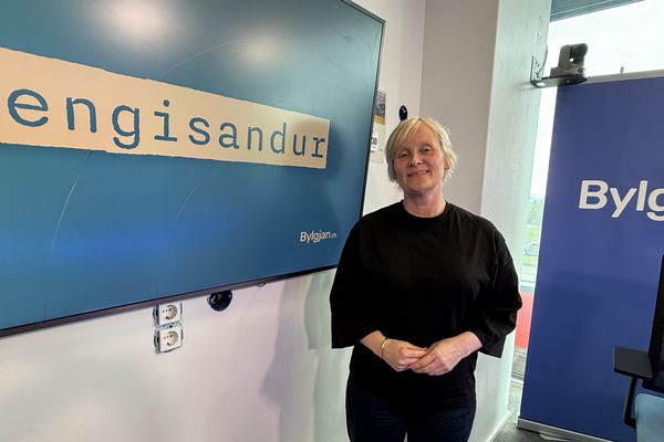 Formaður Eflingar algjörlega andsnúinn ESB aðild