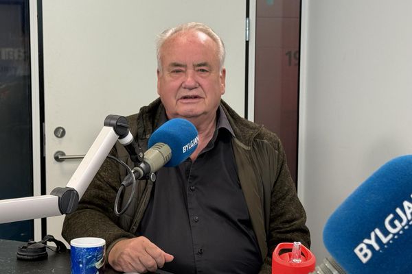 Skordýrum fjölgar svo ört á Íslandi að vísindamenn hafa ekki undan