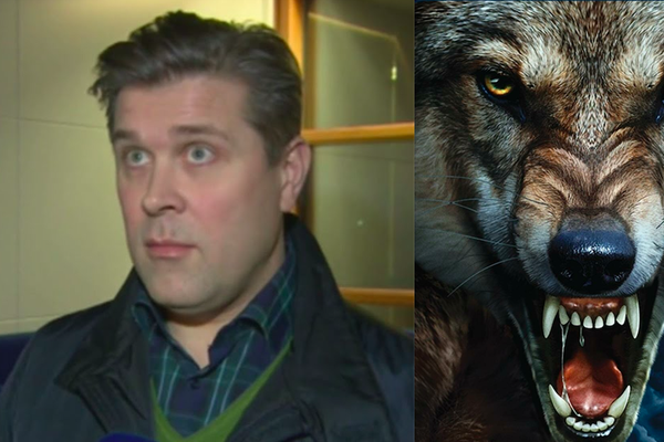 Bjarna Ben finnst Úlfur úlfur heimskuleg saga