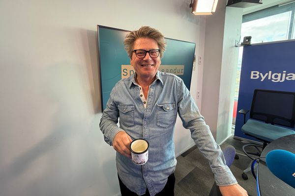 Prófessor segir þingsályktunartillögu um ESB viðræður frá 2009 í fullu gildi