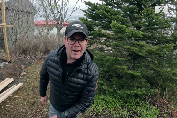 Fylgdist með Pétri Jóhanni byggja útieldhús