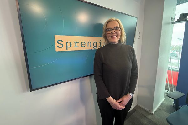 Formaður Sjálfstæðisflokksins krefst frestunar á þjóðaratkvæðagreiðslu