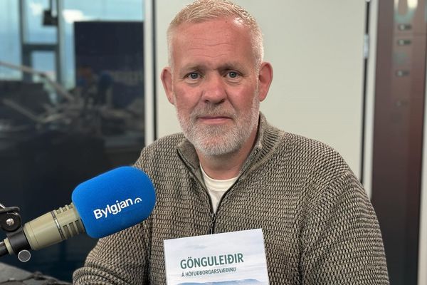 Alltaf dolfallinn í íslenskri náttúru