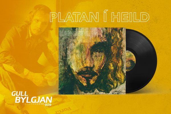 Platan í heild: Jóhann G. Jóhannsson - Langspil