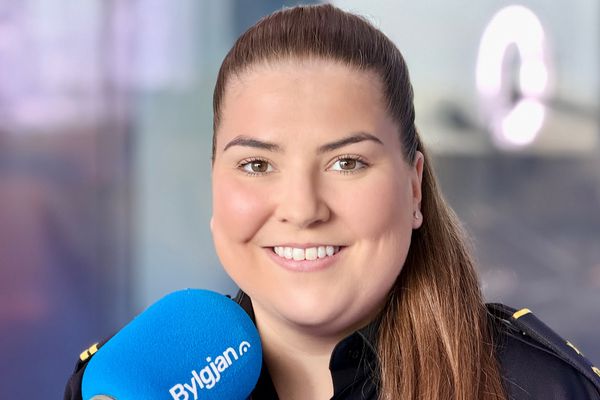 Alþjóðlegt lögreglusamstarf skilaði skjótum árangri við að upplýsa 160 milljón króna þjófnað