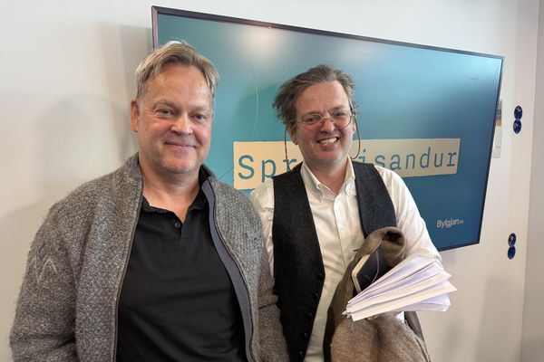 Hart tekist á um efnahagsahrif evru á Íslandi