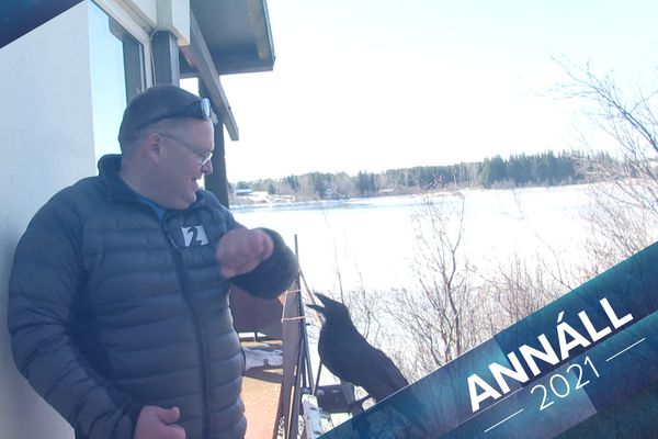 Annáll 2021 - Magnús Hlynur