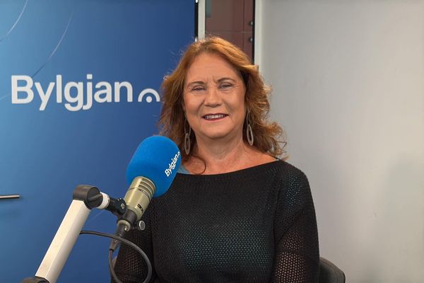 Líklegt að fyrstu tölur sýni fleiri nei