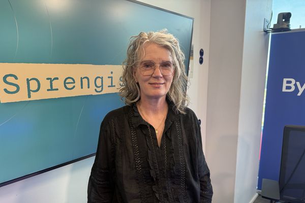 Framlög til námsefnisgerðar óbreytt í 30 ár