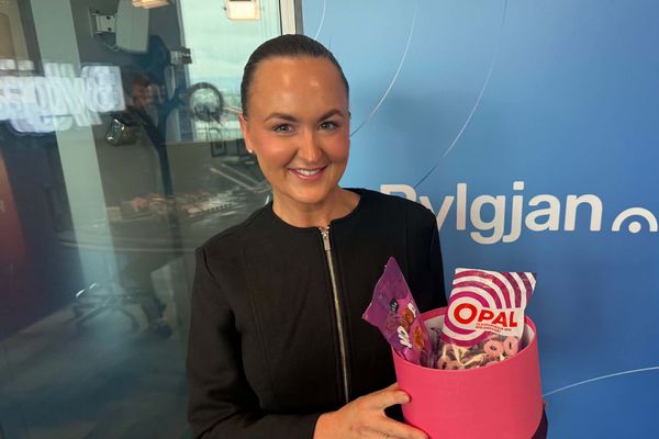 Nammi sem er alltof gott til að vera satt