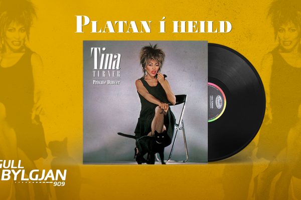 Platan í heild: Tina Turner - Private Dancer