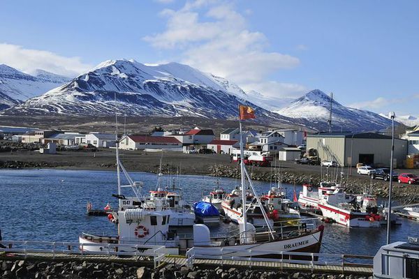 Veðurklúbburinn á Dalbæ styðst meðal annars við drauma og atferli dýra
