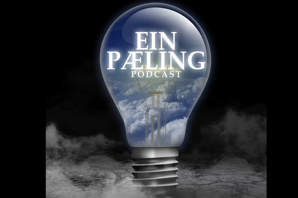 Ein Pæling - Sigmundur Davíð - Kosningar2024