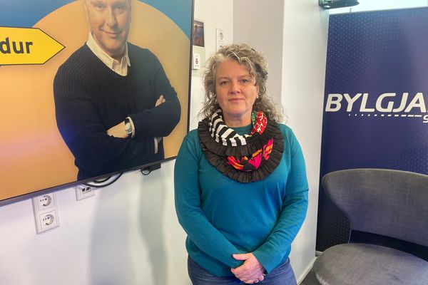 Rithöfundur segir bandarísk stórfyrirtæki stela höfundarvörðu efni