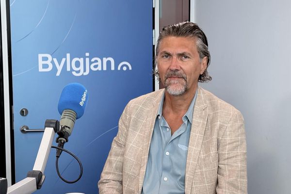 Finnst dómurinn í plastbarkamálinu sérkennilegur