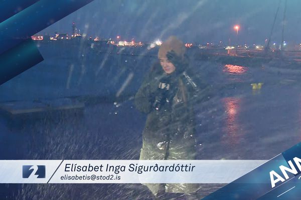 Annáll 2021 - Á bak við tjöldin