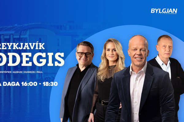 Ámælisvert að fyrirtæki sem fengu kynningu með stolnum gögnum hafi ekki látið vita