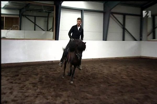 Sprettur - Undirbúningur knapa og ræktenda fyrir Landsmót