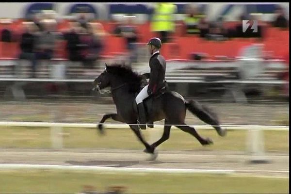 Sprettur - Gömul Landsmót rifjuð upp