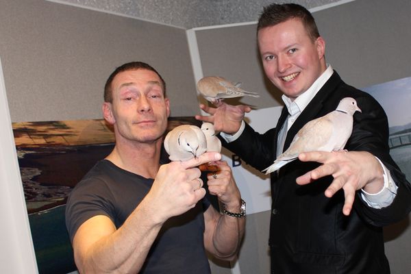 Bylgjan TV - Töfrabrögð á Bylgjunni - Borð í lausu lofti