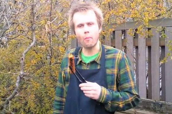 RS - Bulsur á leið á markað, nú geta grænmetisætur fengið eina með öllu.