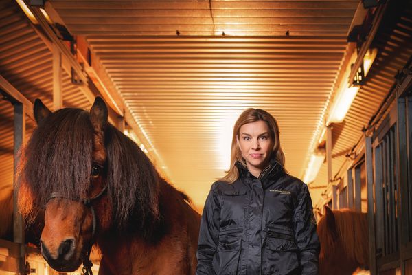 Samantektarþáttur fyrir Meistaradeildina í hestaíþróttum í kvöld!