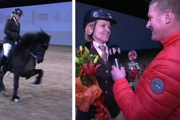 Meistaradeild í hestaíþróttum - Tímamótasýning í gæðingafimi