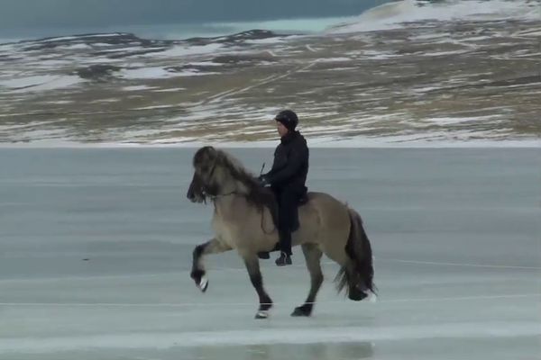 Nýjar stjörnur á ísnum