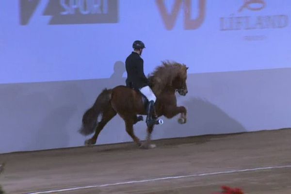 Samantekt - „Tók sjálfan mig í gegn“ - fjórgangur