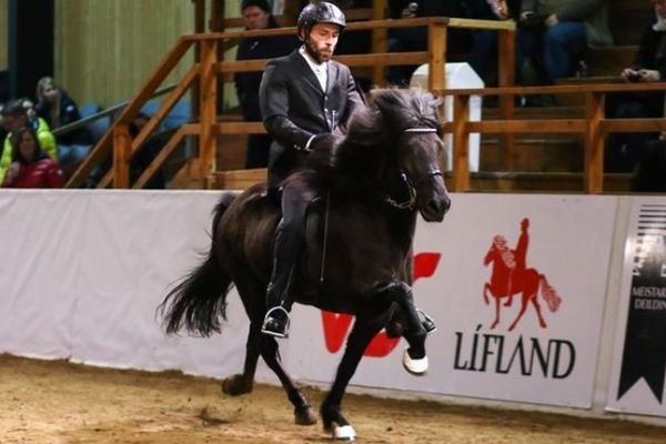 Meistaradeildin í hestaíþróttum - A-úrslit