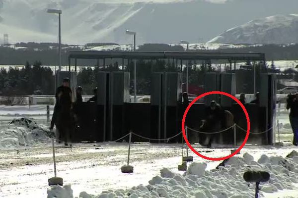 Meistaradeildin - Skeiðgreinar - Fall er fararheill