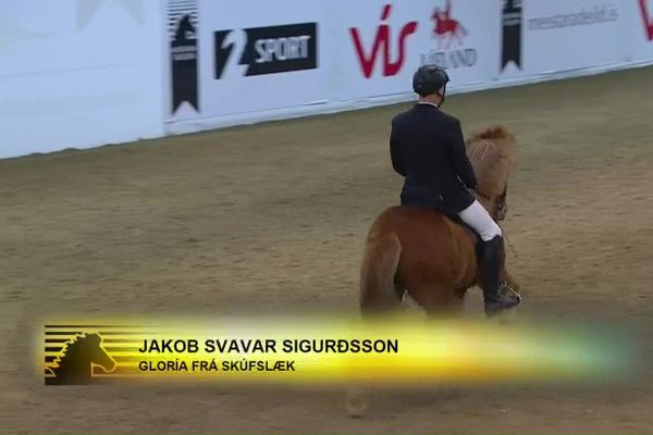 Meistaradeildin í hestaíþróttum - Gæðingafimi - Jakob Svavar