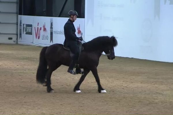 Meistaradeildin - Gæðingafimi - Ásmundur Ernir