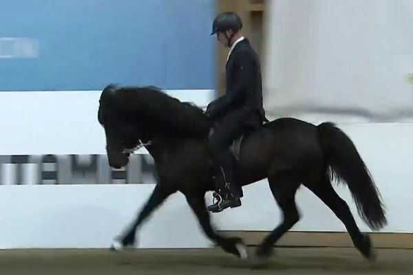 Guð­mundur F. Björg­vins­son á Sjóði frá Kirkju­bæ - Fimm­gangur - Meistara­deildin í hesta­í­þróttum