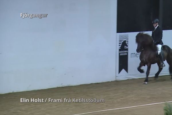 Meistaradeild Cintamani í hestaíþróttum hápunktar