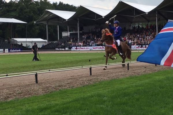 Frábær sigur hjá íslenska landsliðinu í hestaíþróttum í morgun