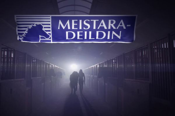 Meistaradeild Cintamani: Umræða um lánshesta