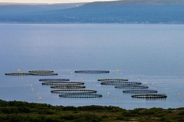 Reykjavík síðdegis - Þarna eru menn að taka áhættu sem á ekki að taka.