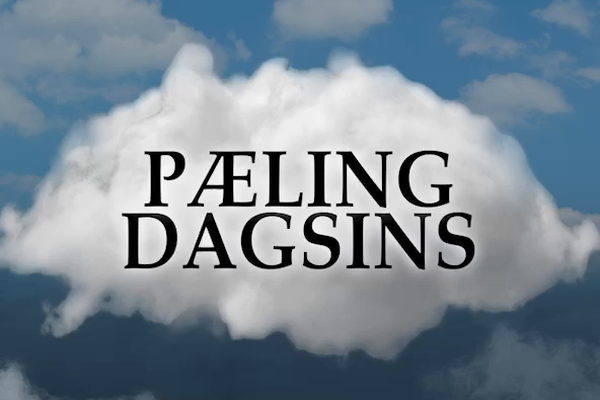 #8 Þriðja vaktin snýst um vald og peninga