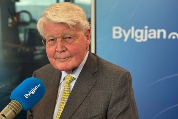 „Við munum framselja valdið til framandi stofnana í Brussel“