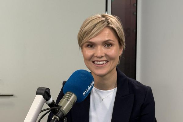 Ekki á dagskrá að flýta atkvæðagreiðslu um ESB