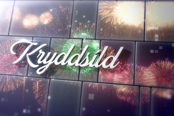 Kryddsíld Stöðvar 2 - Saga Garðarsdóttir